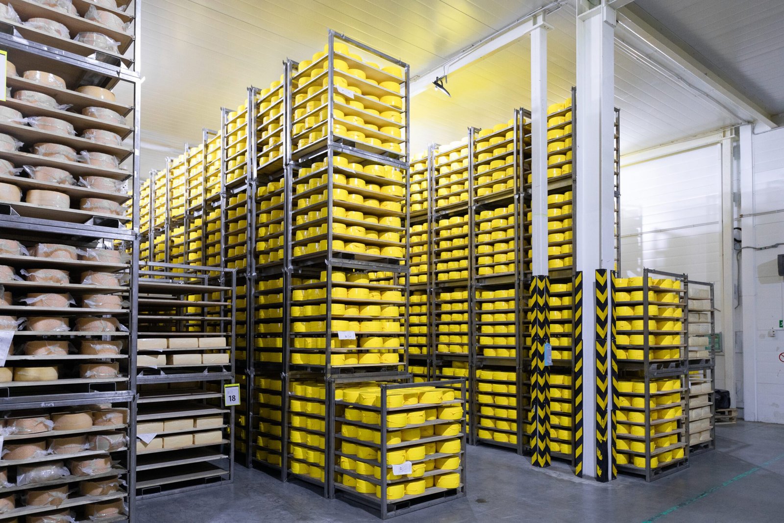 Inside a Modern Food Warehouse: Why FTWZs Are Redefining Global Food Logistics