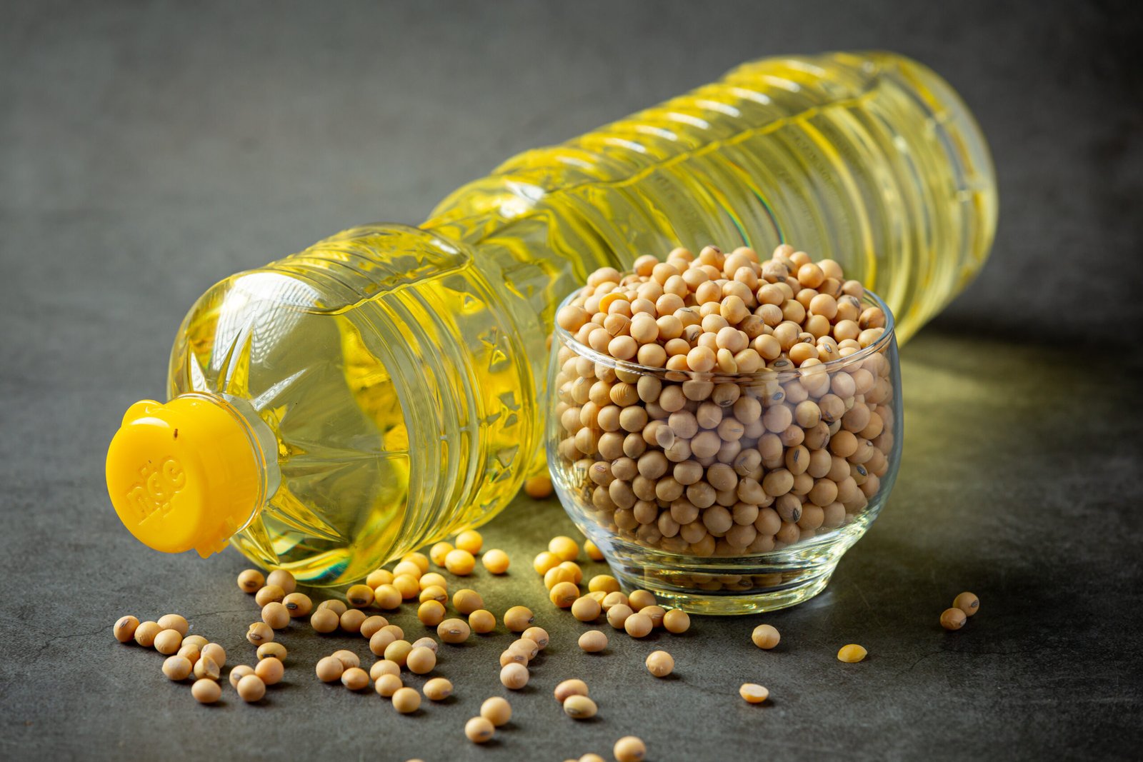 Edible Oil Imports Mundra: How FTWZ Enables Clearance