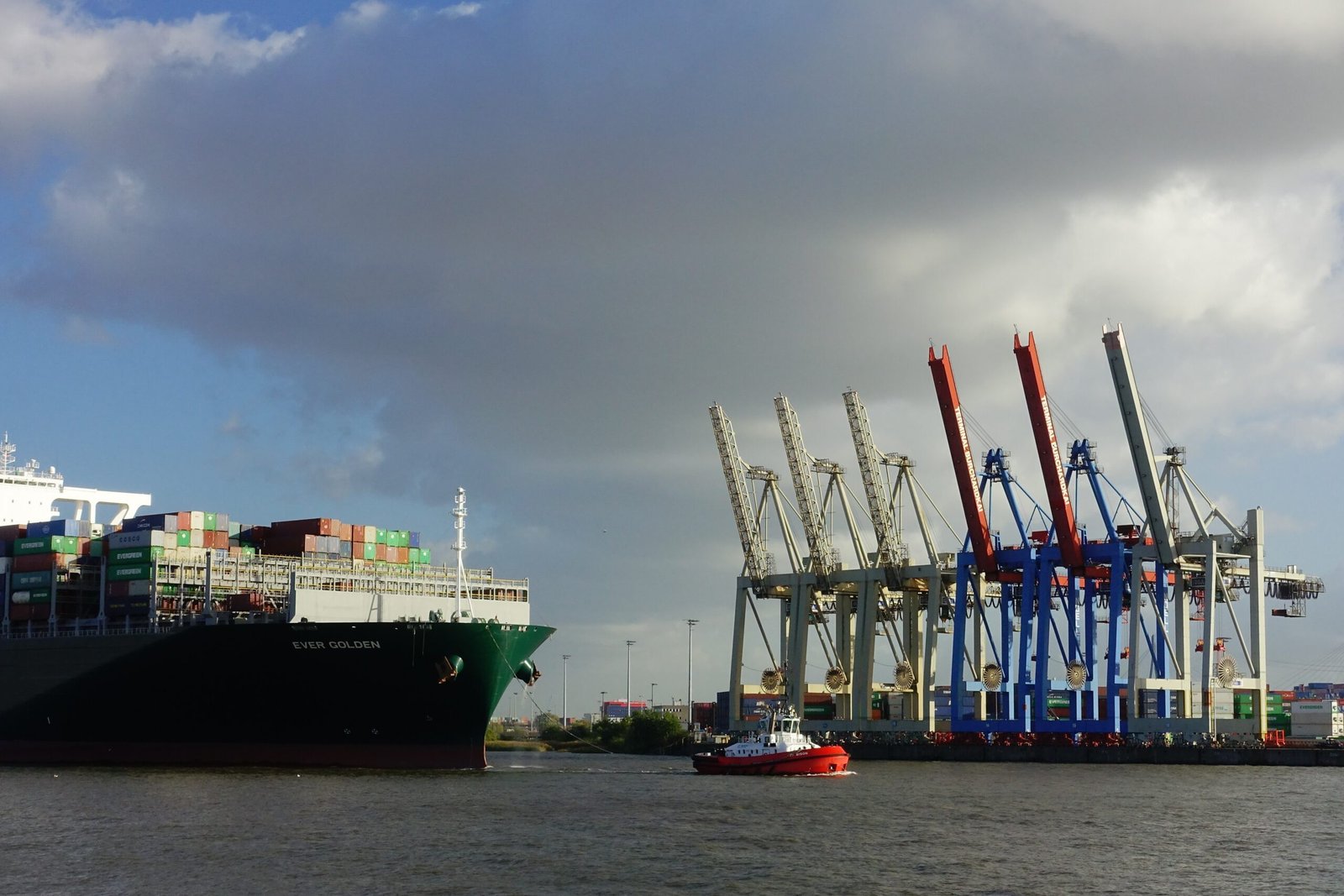 Free Trade Ports vs General Ports